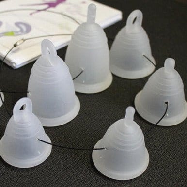 Empowering Menstrual Education: The MeLuna Educator Sample Kit