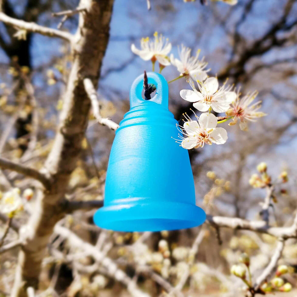 menstrual cup in spring