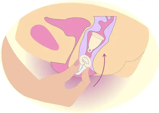 illustration on how to insert a menstrual cup